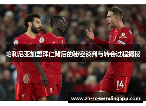 帕利尼亚加盟拜仁背后的秘密谈判与转会过程揭秘