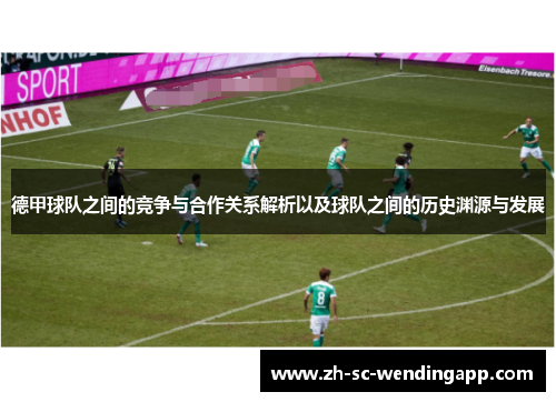 德甲球队之间的竞争与合作关系解析以及球队之间的历史渊源与发展