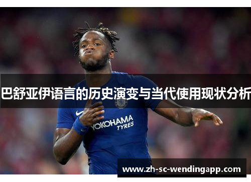 巴舒亚伊语言的历史演变与当代使用现状分析