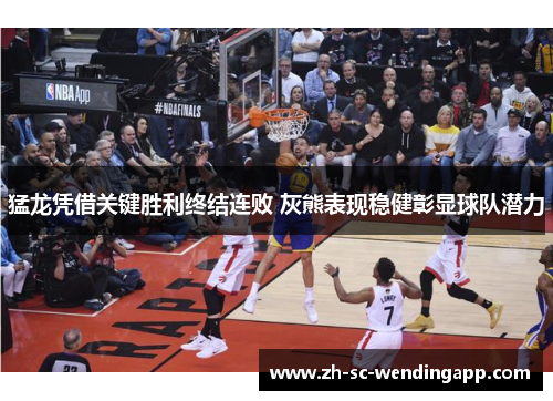 猛龙凭借关键胜利终结连败 灰熊表现稳健彰显球队潜力