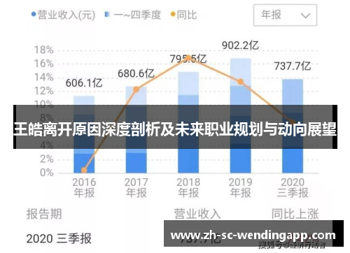 王皓离开原因深度剖析及未来职业规划与动向展望