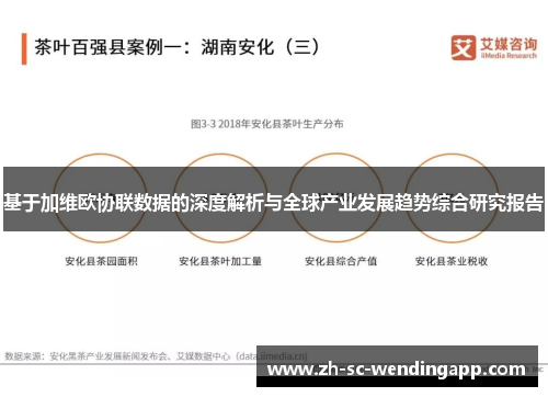基于加维欧协联数据的深度解析与全球产业发展趋势综合研究报告