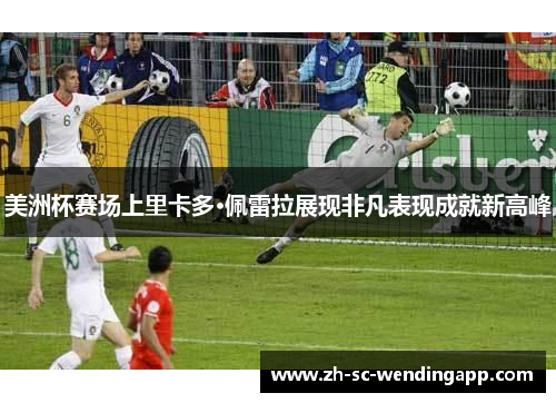 美洲杯赛场上里卡多·佩雷拉展现非凡表现成就新高峰