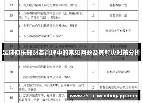 足球俱乐部财务管理中的常见问题及其解决对策分析