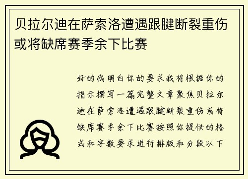 贝拉尔迪在萨索洛遭遇跟腱断裂重伤或将缺席赛季余下比赛
